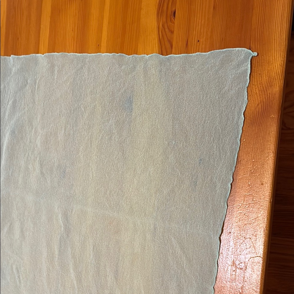 Vintage Chiffon Floral Embroidered Scarf in Light Blue - Picture 6 of 10